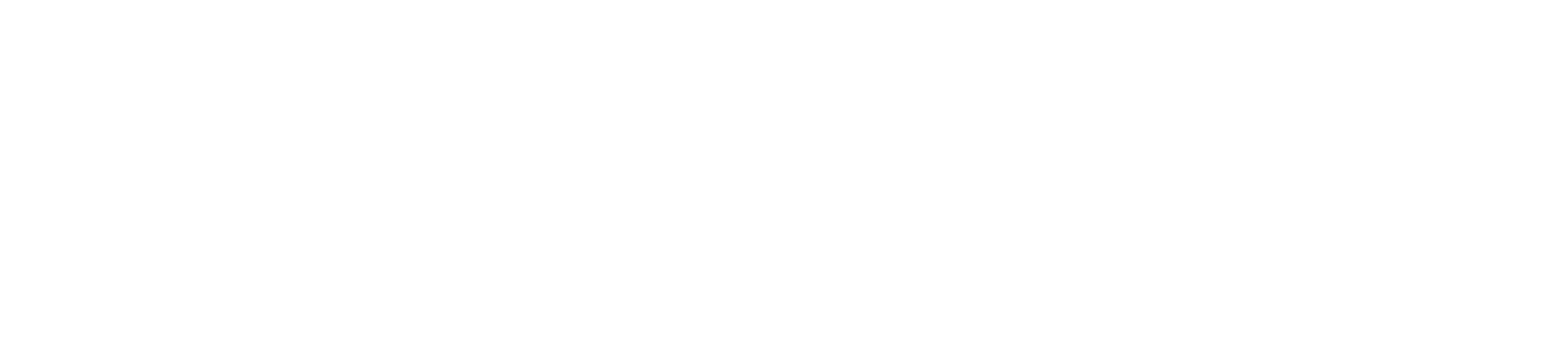 EUs Socialfond Plus